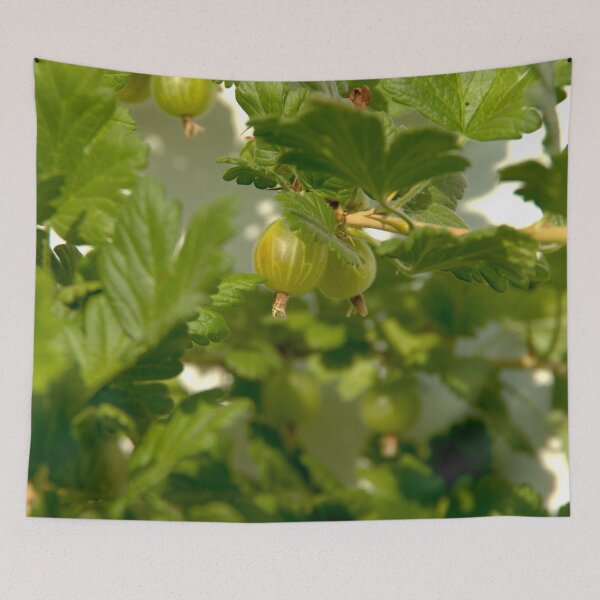 Item preview, Gooseberry designed and sold by Babbler01.