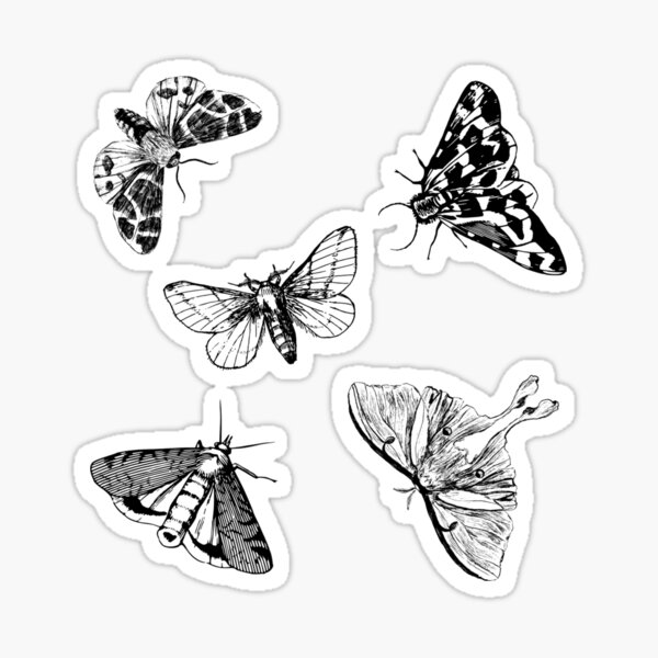 Moth Pattern Sticker