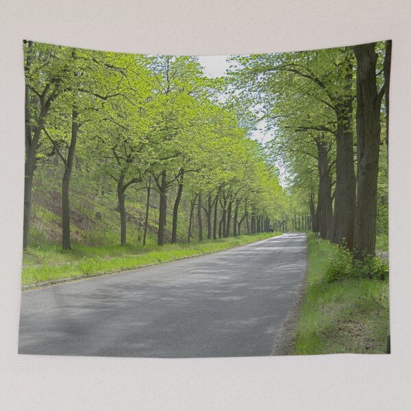 Item preview, Empty street designed and sold by Babbler01.