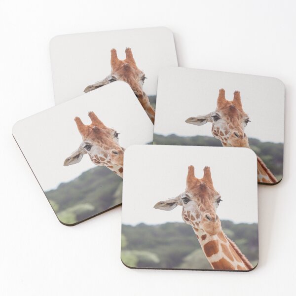 Item preview, Beautiful Creatures  designed and sold by photosbybentley.