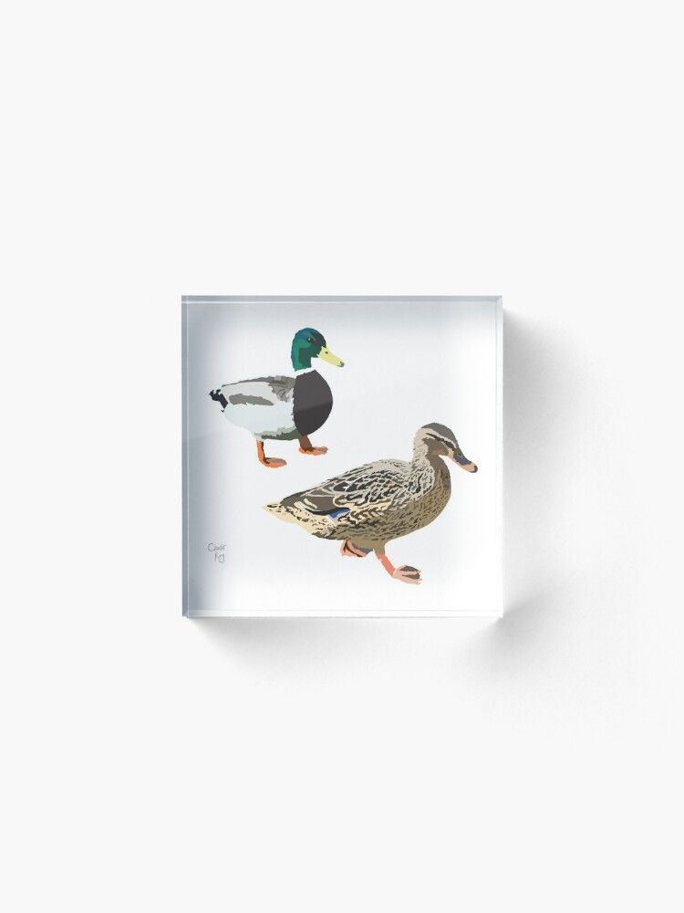 Alternate view of Ducks in Cambridge Acrylic Block