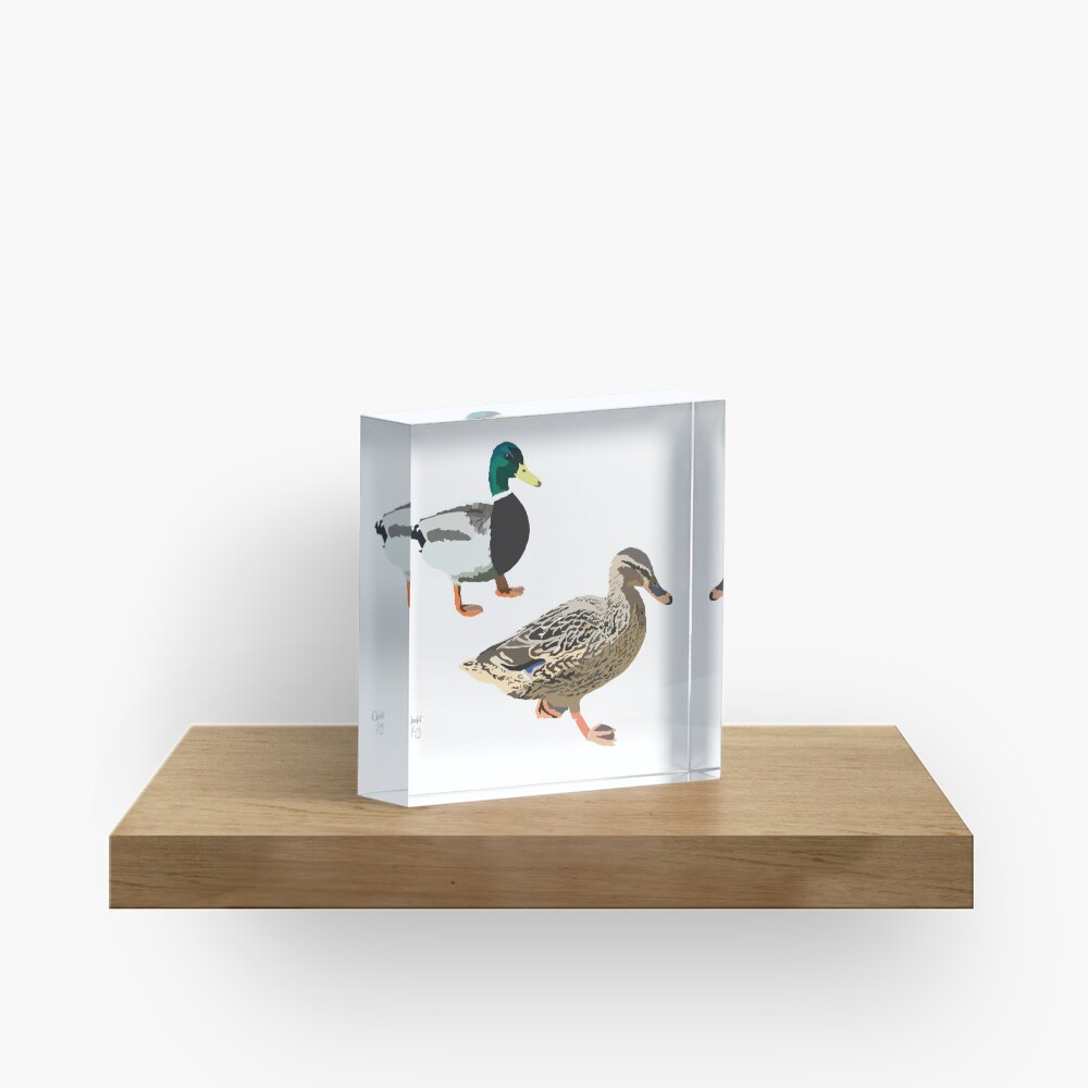 Ducks in Cambridge Acrylic Block