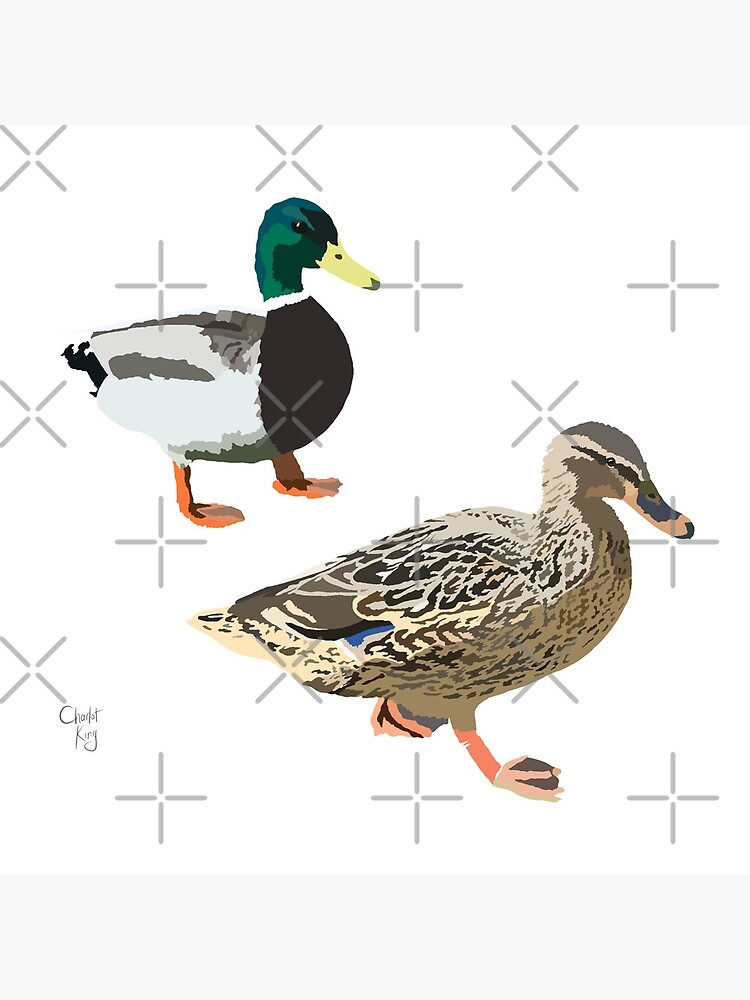Ducks in Cambridge by LovelyDayArt