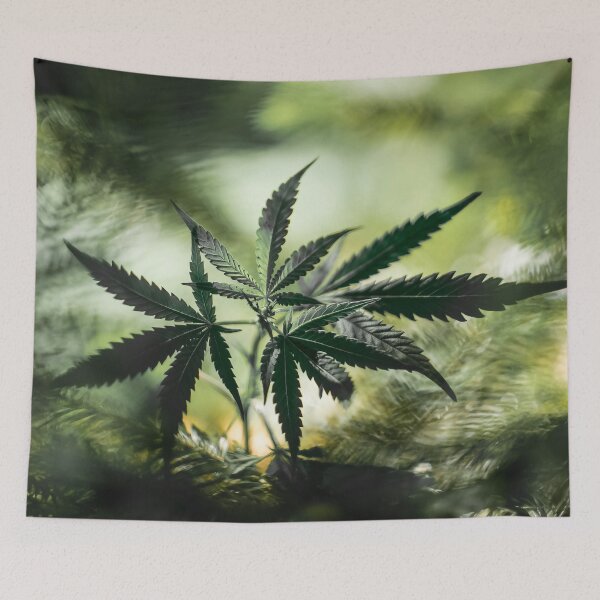 Item preview, Hemp designed and sold by bokehlein.