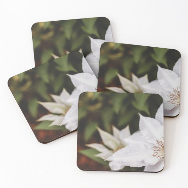 Item preview, Delicate Whites designed and sold by photosbybentley.