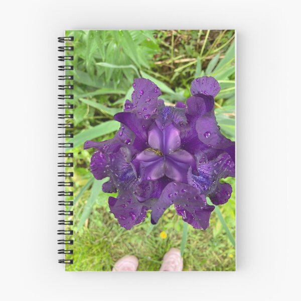 Item preview, Iris designed and sold by SleeplessSigils.