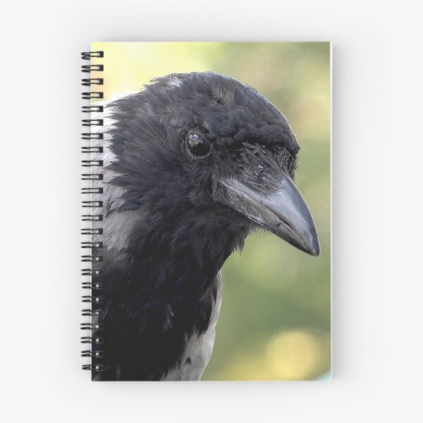 Item preview, Raven bird designed and sold by Babbler01.