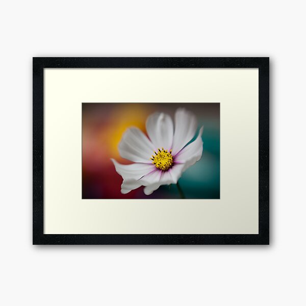 Colours of the Cosmos Framed Art Print