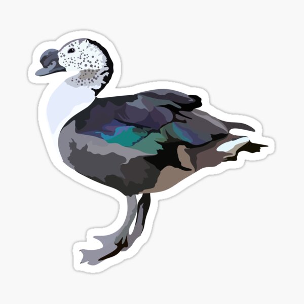 Aperçu de l'œuvre A est pour le canard peigne africain créée et vendue par thezoogirl.
