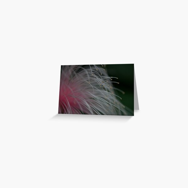 Flower fireworks Greeting Card