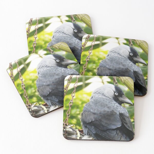 Item preview, Jackdaw designed and sold by snaphappy1.