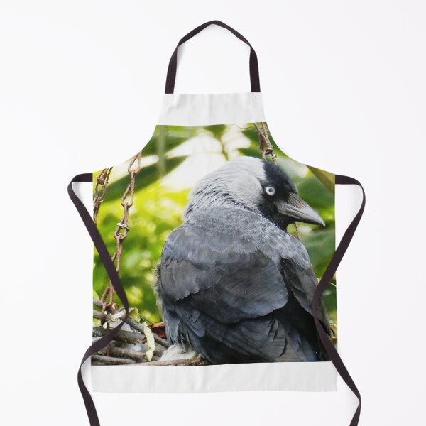 Item preview, Jackdaw designed and sold by snaphappy1.