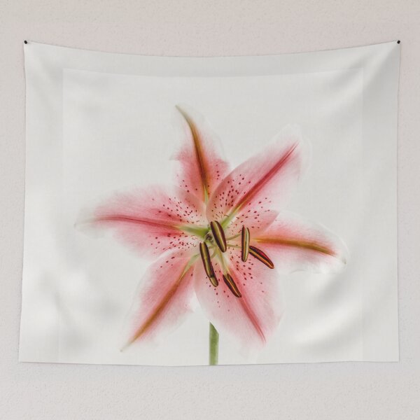 Item preview, light Pink lily poster designed and sold by JD369.