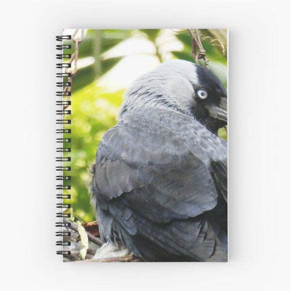 Item preview, Jackdaw designed and sold by snaphappy1.