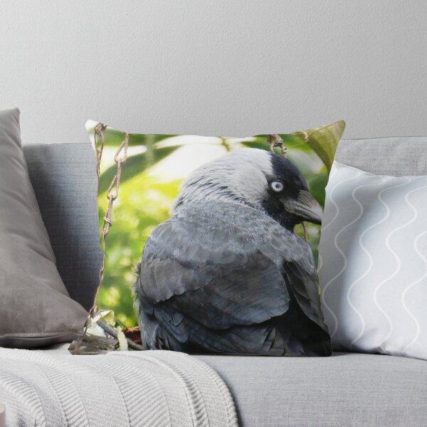 Item preview, Jackdaw designed and sold by snaphappy1.