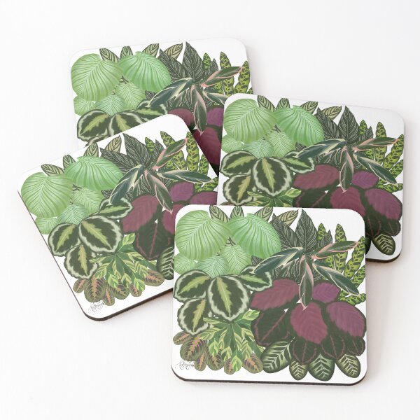 Item preview, Home jungle Calathea Maranta plants  designed and sold by Onyria Art.
