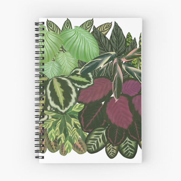 Item preview, Home jungle Calathea Maranta plants  designed and sold by Onyria Art.