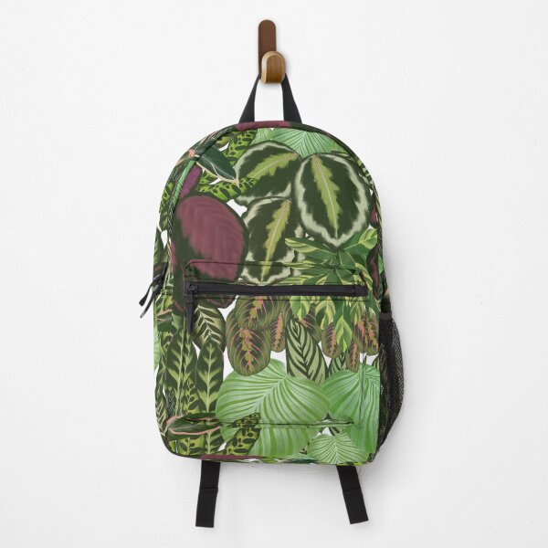Item preview, Home jungle Calathea Maranta plants designed and sold by Onyria Art.