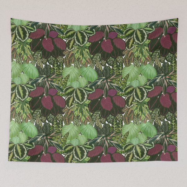 Item preview, Home jungle Calathea Maranta plants  designed and sold by Onyria Art.