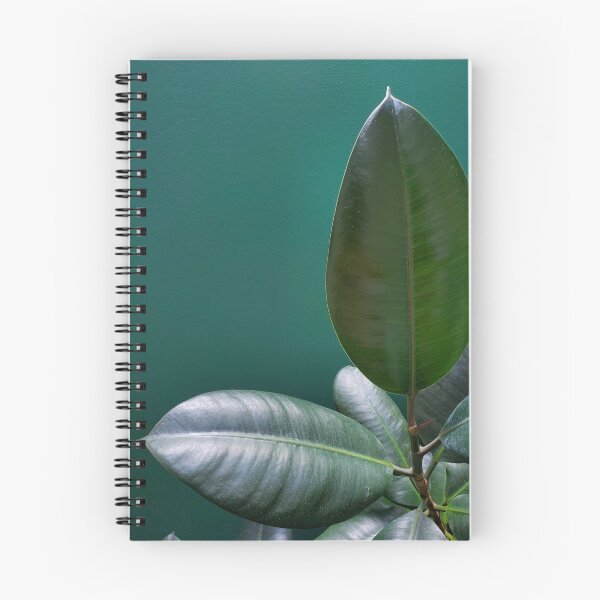 Item preview, Ficus Burgundy Robusta Plant designed and sold by soulestial.