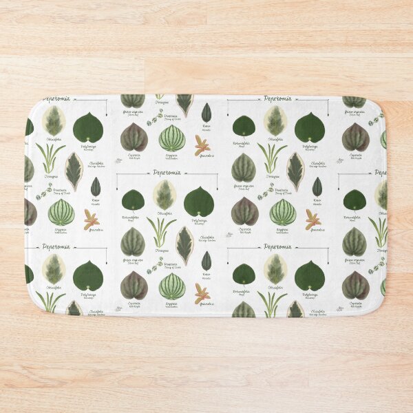 Item preview, Peperomia plants species collection botanical illustration designed and sold by Onyria Art.