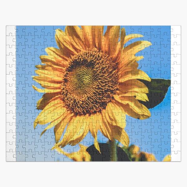Artikel-Vorschau von Sonnenblume und blauer Himmel, designt und verkauft von 9chaa.