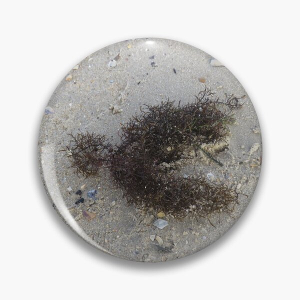 Item preview, Y shaped seaweed designed and sold by greentiger1.