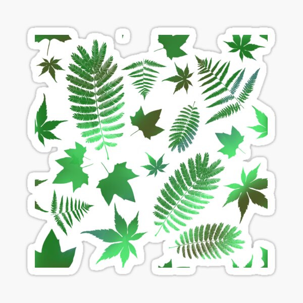 Leaf Pattern - Maple, Fern, Acacia Sticker
