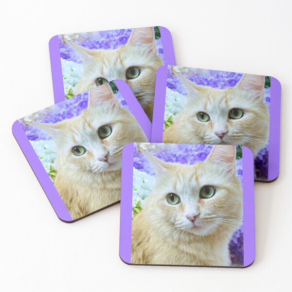 Item preview, Ragdoll mainecoon cat designed and sold by Fluffycat2020.