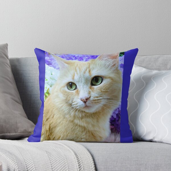 Item preview, Ragdoll mainecoon cat designed and sold by Fluffycat2020.