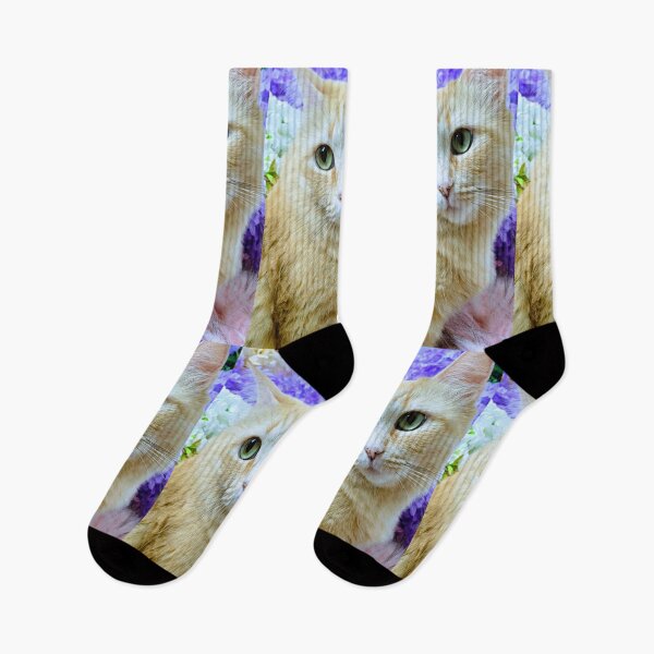 Item preview, Ragdoll mainecoon cat designed and sold by Fluffycat2020.