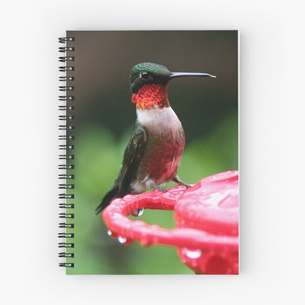 Item preview, Perfectly Scruffy designed and sold by WalnutHill.