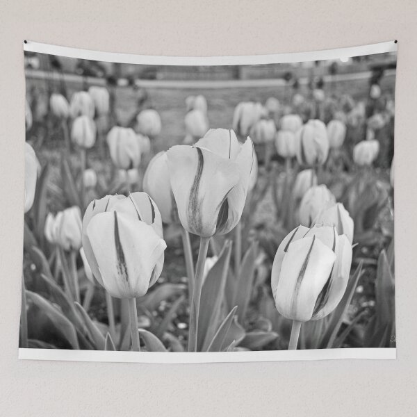 Item preview, Spring Inspirations - Tulip in black and white designed and sold by mehtaartz.