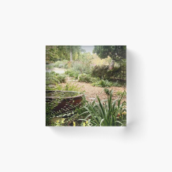 Item preview, Path to reflection - Viewfield designed and sold by Susan Henry.