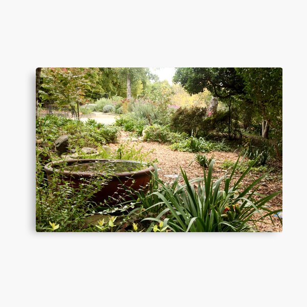 Item preview, Path to reflection - Viewfield designed and sold by Susan Henry.