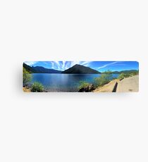 Olympic Mountains Metal Print
