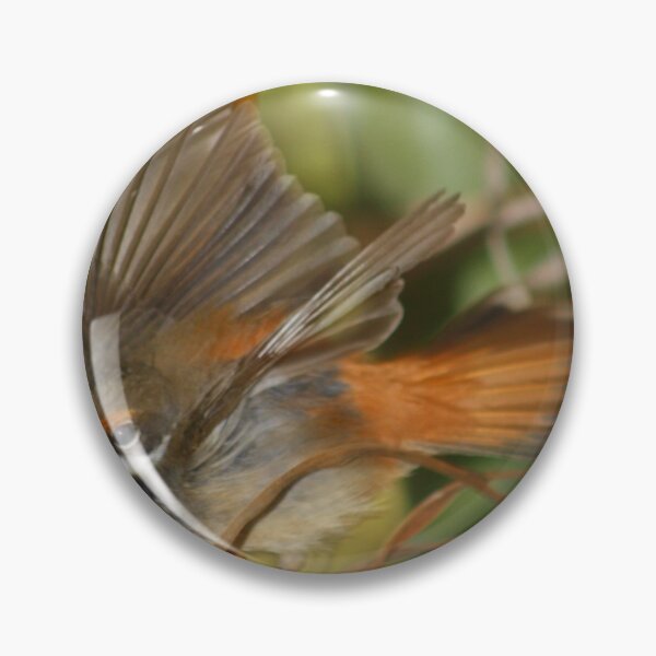 Artikelvorschau, Rufous Fantail entworfen und verkauft von Suzy  Baines.