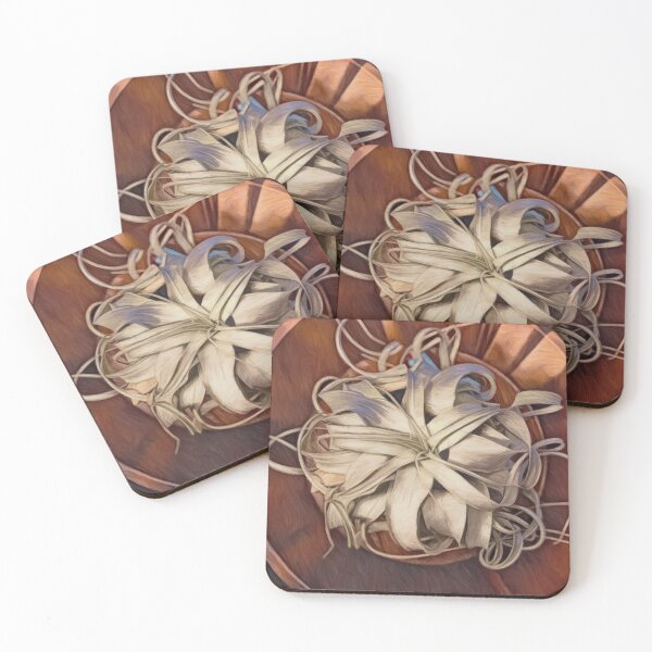 Item preview, Air Plant II designed and sold by Madelyn Paige.
