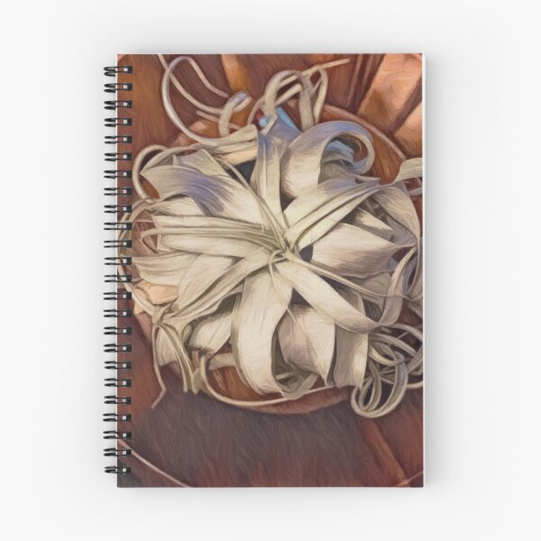 Item preview, Air Plant II designed and sold by Madelyn Paige.