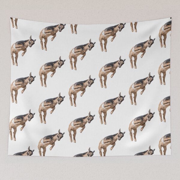 Item preview, Bouncing Baby Goat XI designed and sold by OryPhotography.