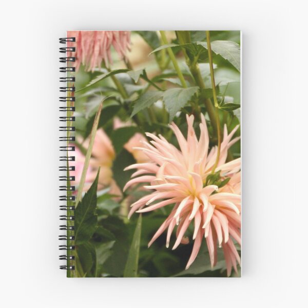 Item preview, Pink Chrysanthemum, Viewfield designed and sold by Susan Henry.