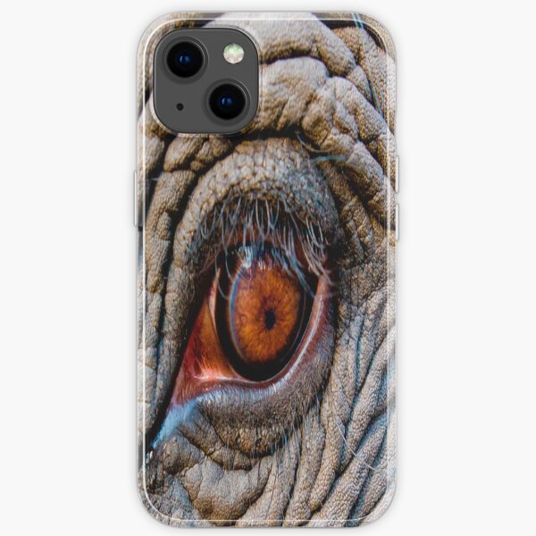 Hot thick asian chicks