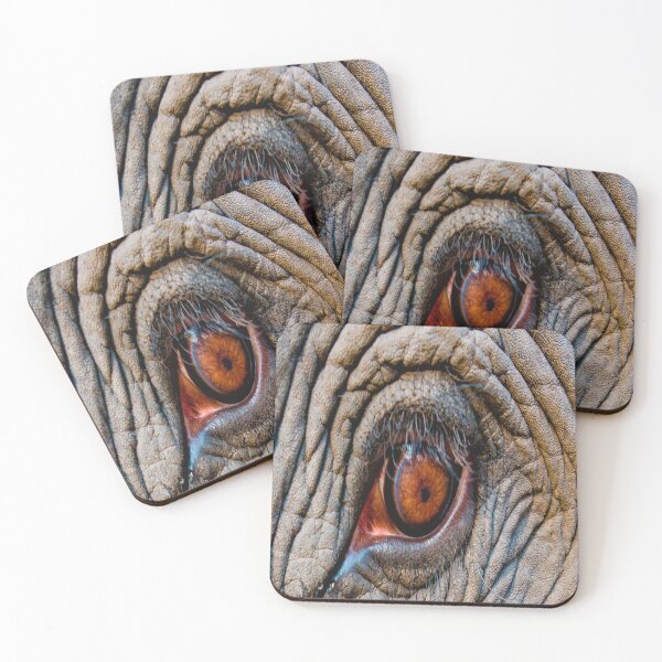 Item preview, Thick Asians Coques Elephant Eye, Bandhavgarh National designed and sold by Tekashi-6ix9ine.