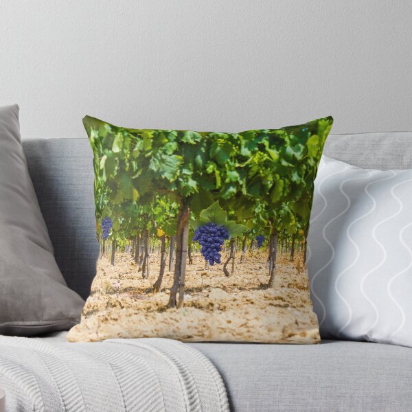 Item preview, Red grapes at Saint Tropez vineyard, France designed and sold by Bruno Beach.