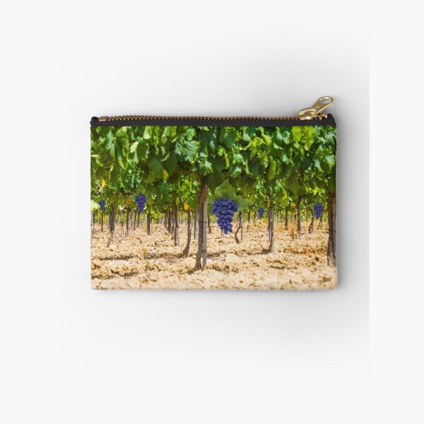 Item preview, Red grapes at Saint Tropez vineyard, France designed and sold by Bruno Beach.