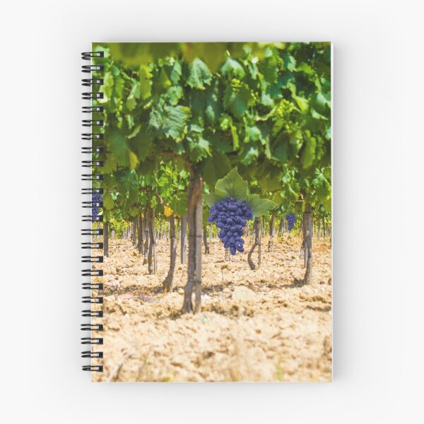 Item preview, Red grapes at Saint Tropez vineyard, France designed and sold by Bruno Beach.