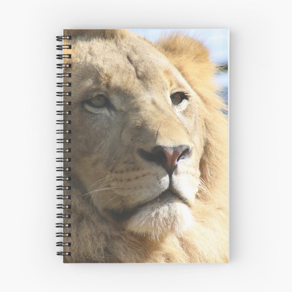 Item preview, León designed and sold by Suzy  Baines.