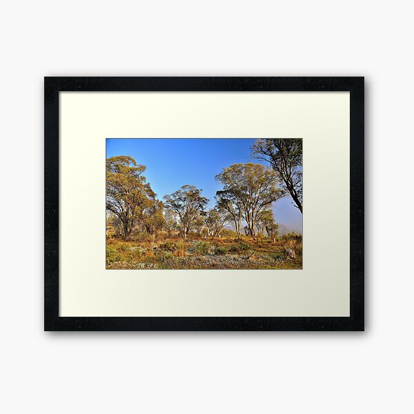 Item preview, Gum Trees designed and sold by Terry Everson.