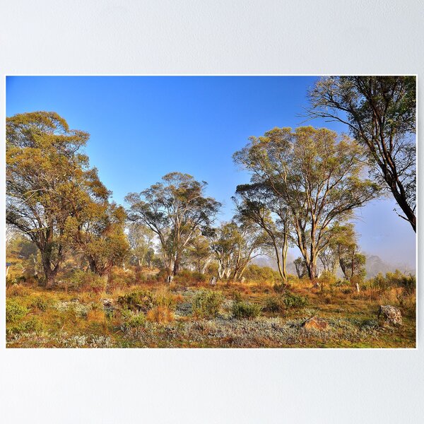Item preview, Gum Trees designed and sold by Terry Everson.