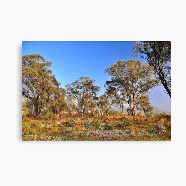 Item preview, Gum Trees designed and sold by Terry Everson.